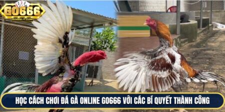 Cách chơi đá gà online go666