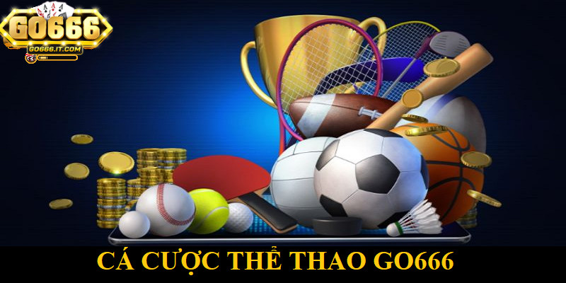 Thể Thao Go666 - Giải Đấu Thể Thao Hấp Dẫn Không Thể Bỏ Lỡ 1 Thể thao Go666 cung cấp nhiều môn thể thao để cá cược