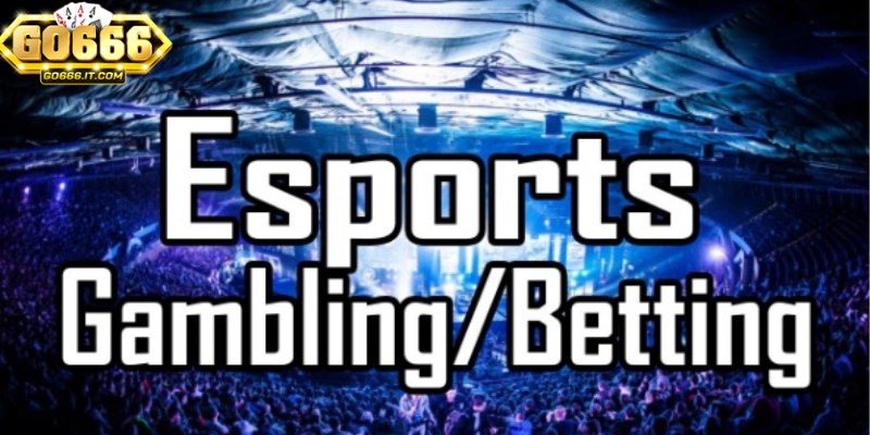 SABA Esports Go666 luôn cập nhật các giải đấu thể thao lớn