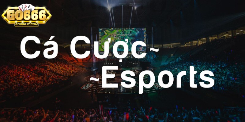 SABA Esports Go666 liên tục có các chương trình khuyến mãi hấp dẫn