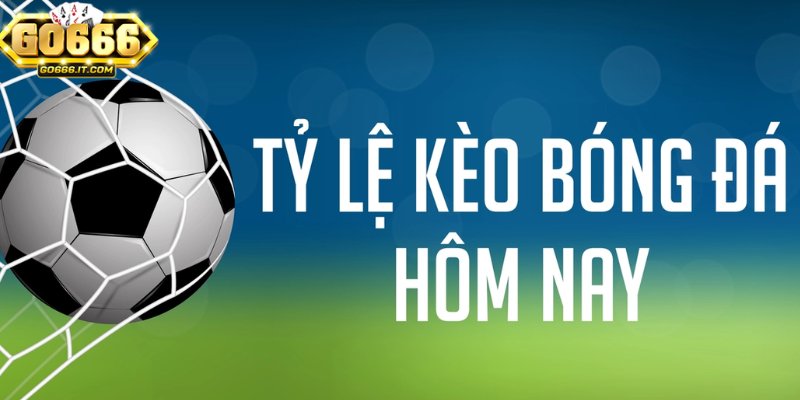 Các trận đấu thể thao lớn có tỷ lệ cược hấp dẫn tại Go666